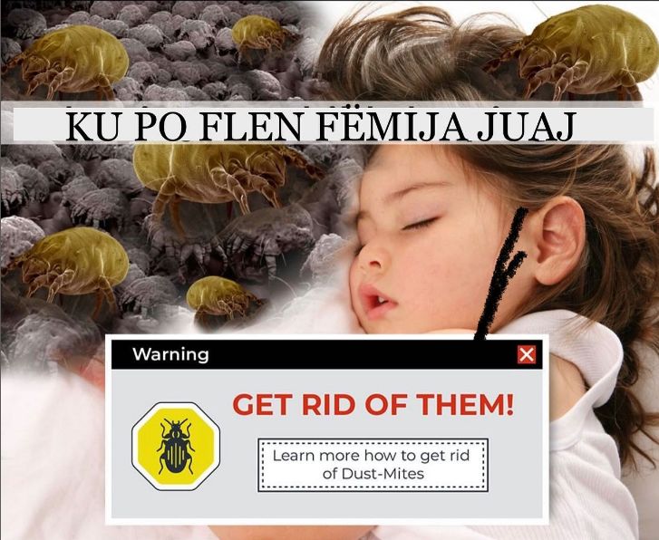 Paisje-pastrimi-filtrim-ambienti-15