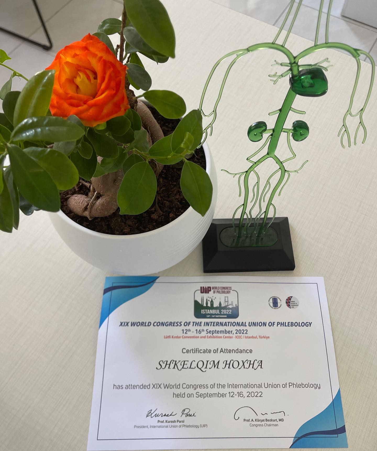 _____Kardiolog-i-mire-tirane-berat-198