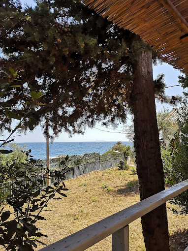 ______RESTORANT-DHERMI-18