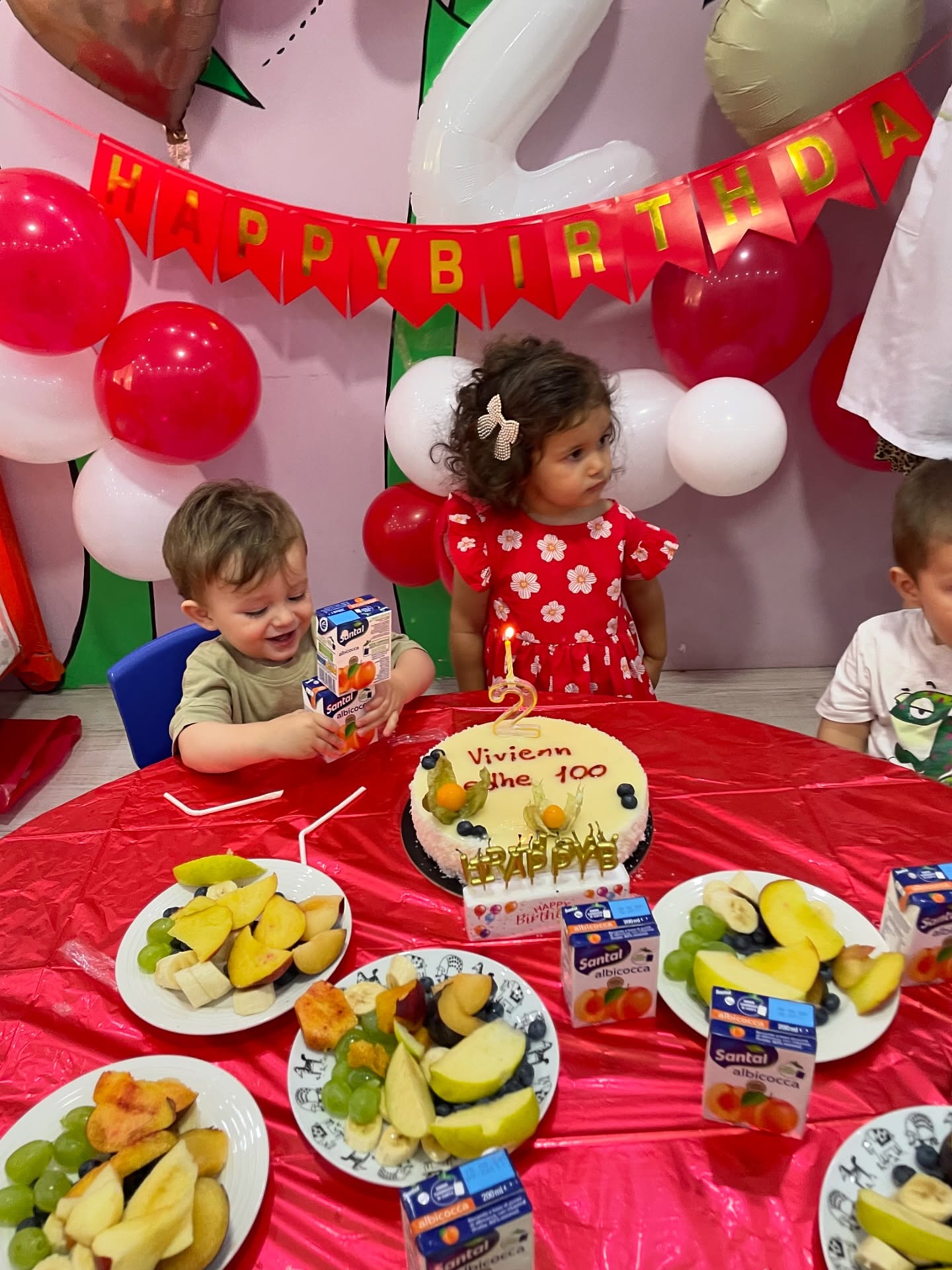 KOPESHT-CERDH-PASSHKOLLOR-DONBOSKO-VIZIONI-16