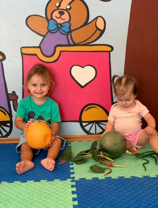 KOPESHT-PRIVAT-TIRANE-CERDHE-196