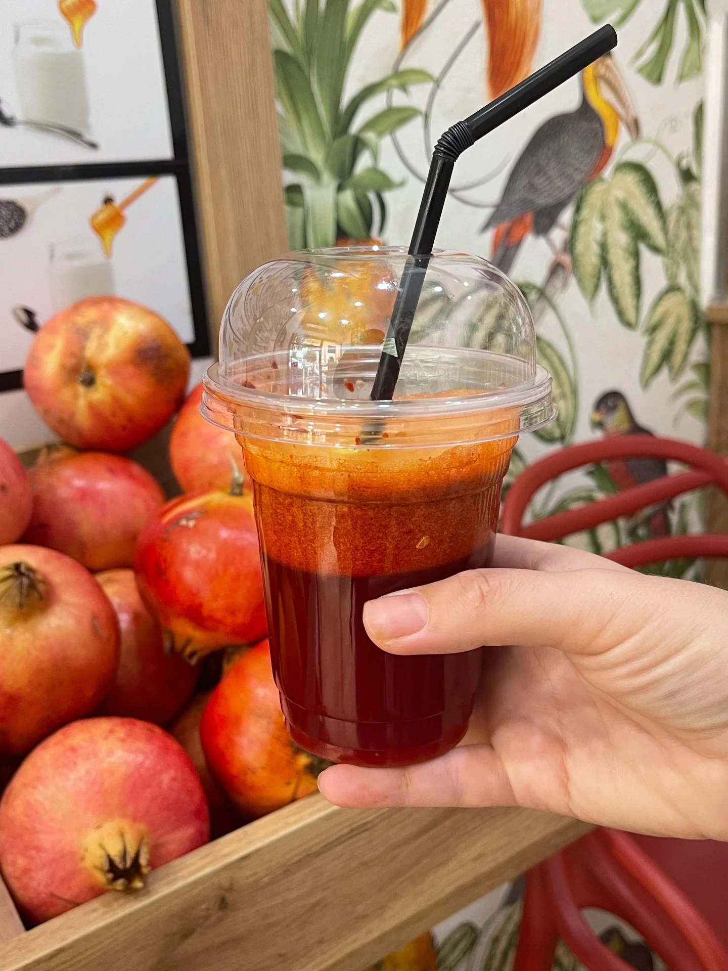 _________________________LENGJE-FRUTASH-TIRANE-14