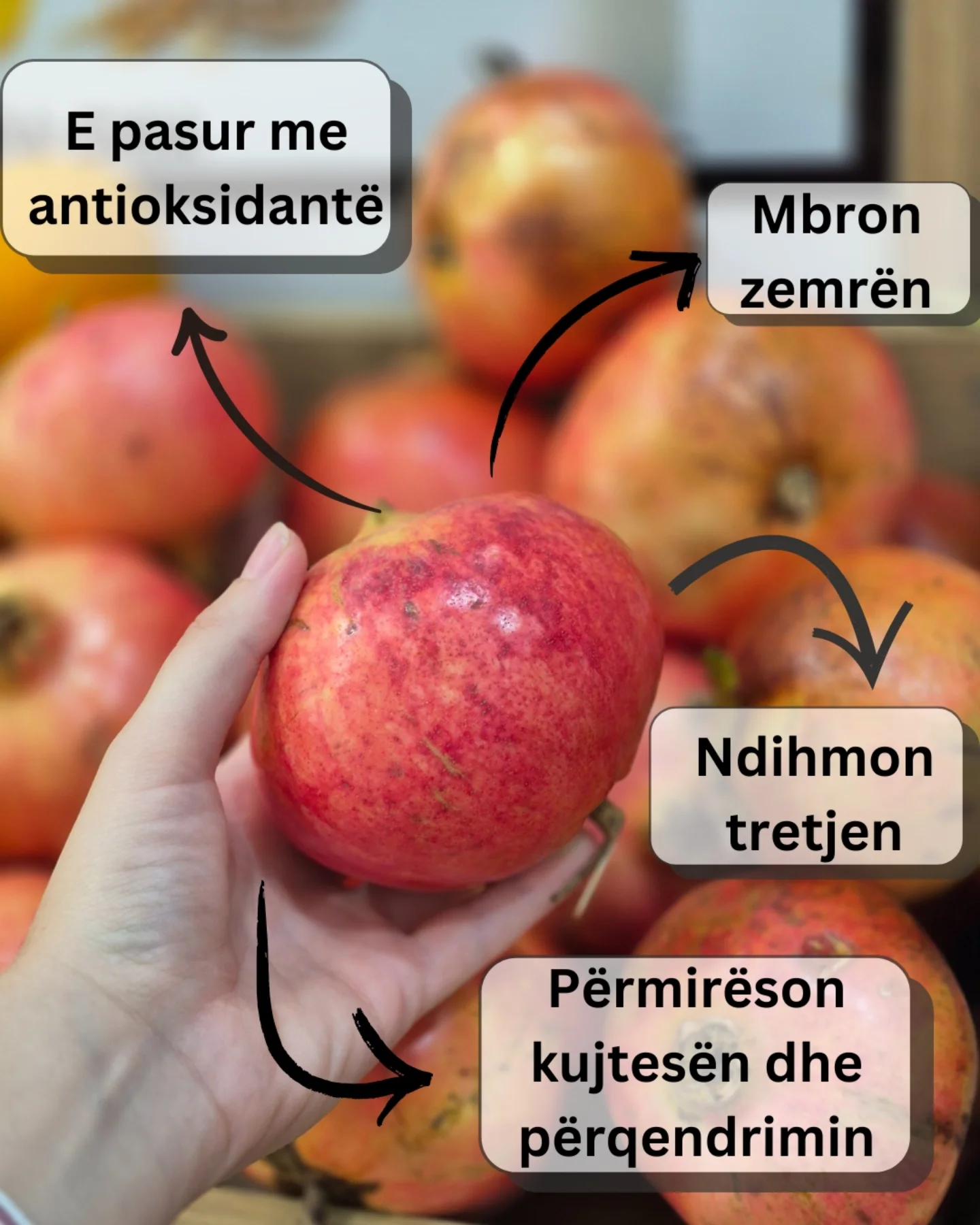 _________________________LENGJE-FRUTASH-TIRANE-17