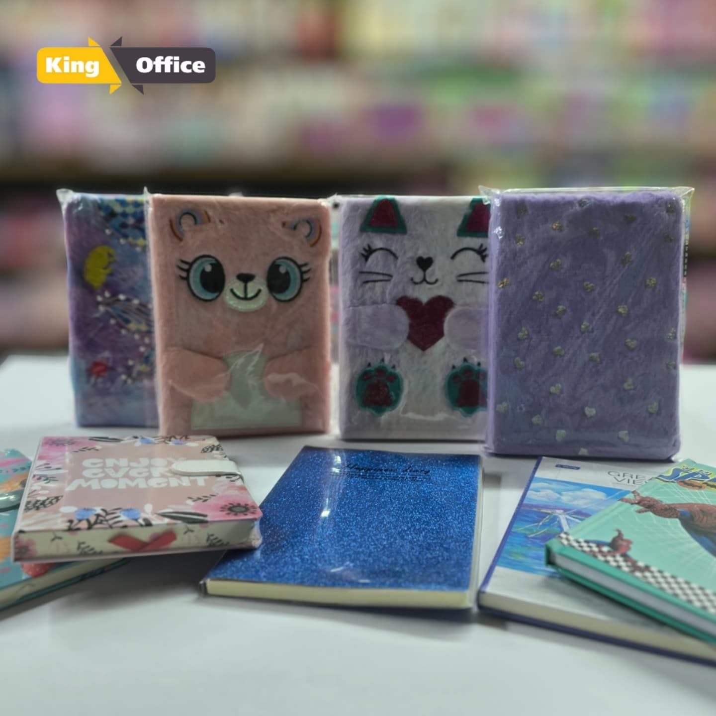 ____kANCELARI-TIRANE-LODRA-197