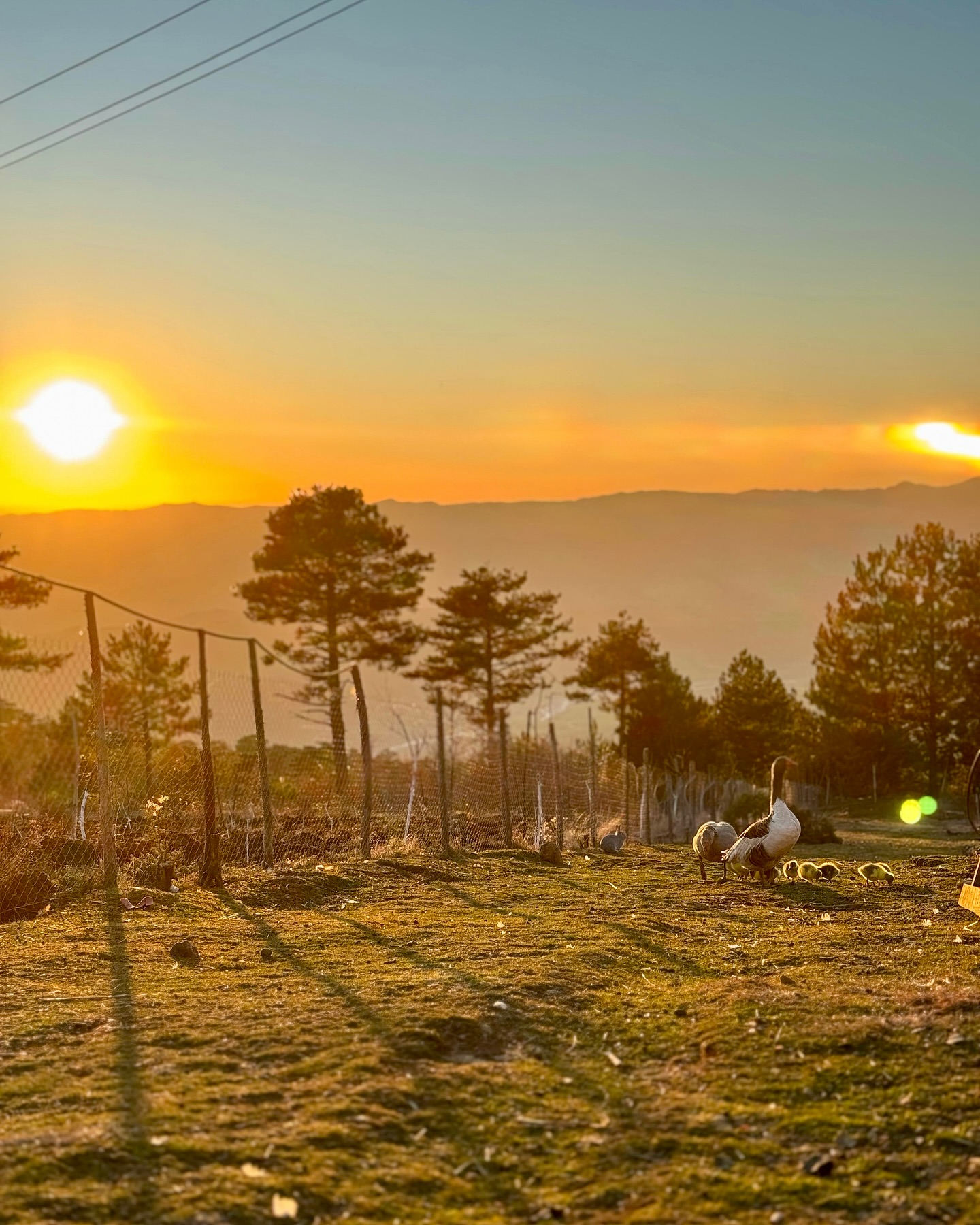 kamping-hotel-restorant-gramsh-121