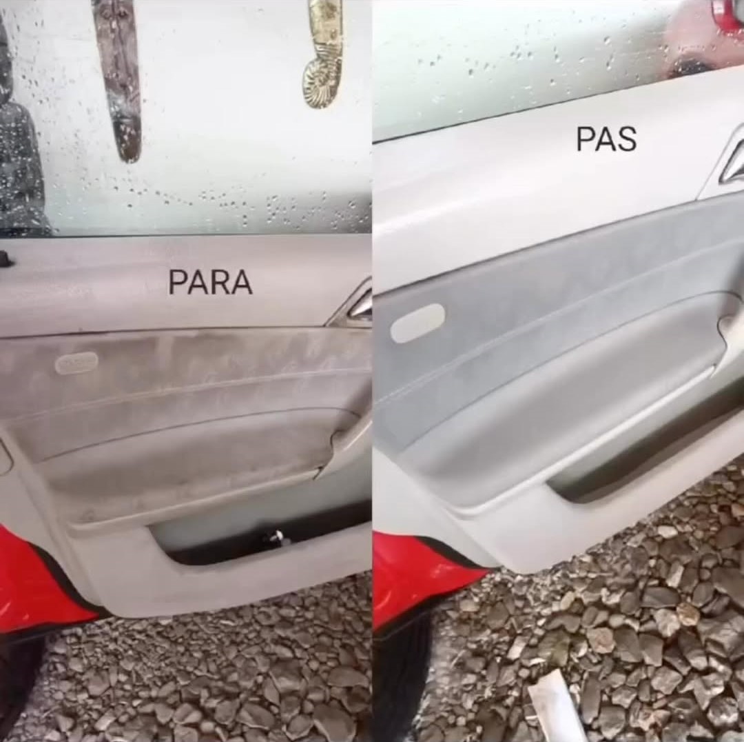 larje-pastrim-karrike-kolltuqe-divane-18